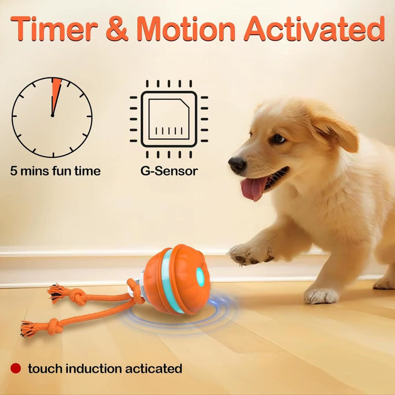 Amobox-Peppy Pet Ball for Dogs, Dog Interactive Toys, Motion Activate Rolling Ball, Automatic Moving,Usb Rechargeable