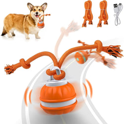 Amobox-Peppy Pet Ball for Dogs, Dog Interactive Toys, Motion Activate Rolling Ball, Automatic Moving,Usb Rechargeable