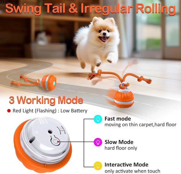 Amobox-Peppy Pet Ball for Dogs, Dog Interactive Toys, Motion Activate Rolling Ball, Automatic Moving,Usb Rechargeable