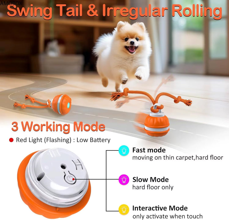 Amobox-Peppy Pet Ball for Dogs, Dog Interactive Toys, Motion Activate Rolling Ball, Automatic Moving,Usb Rechargeable